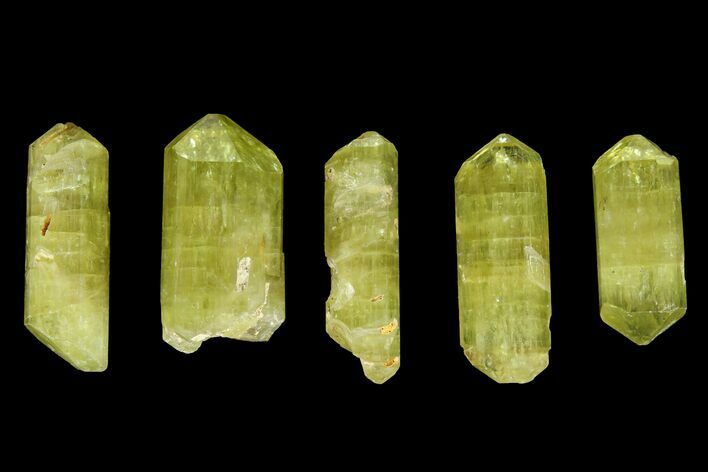 Five Yellow Apatite Crystals (over ) - Morocco #143082